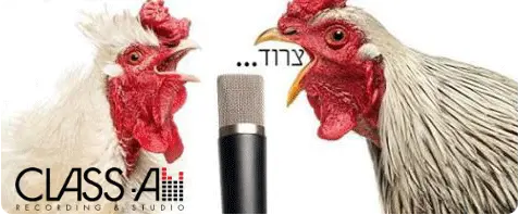 כל מה שרצית לדעת על צרידות